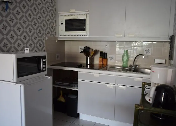 Avec Terrasse A 50m De La Des Sables-d'olonne - Fr-1-197-429 * 莱萨布勒-多洛讷