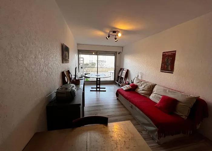 公寓 Avec Terrasse A 50m De La Des Sables-d'olonne - Fr-1-197-429 莱萨布勒-多洛讷